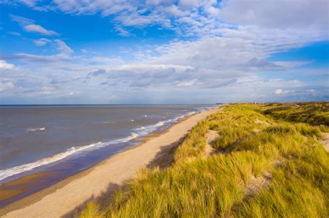 strand van blankenberge|Hunde am Strand